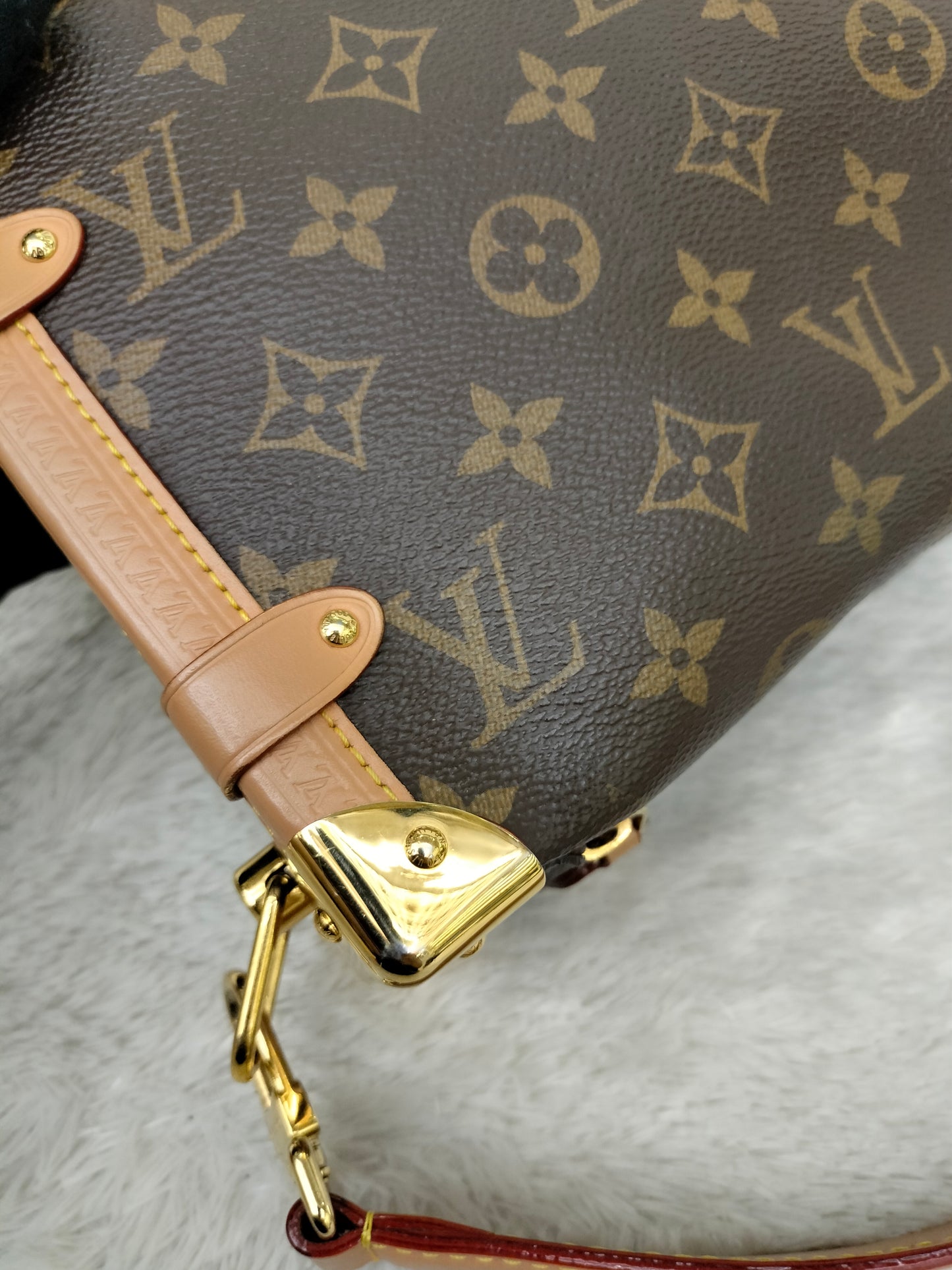 LV Side Trunk MM Monogram (CHIP)