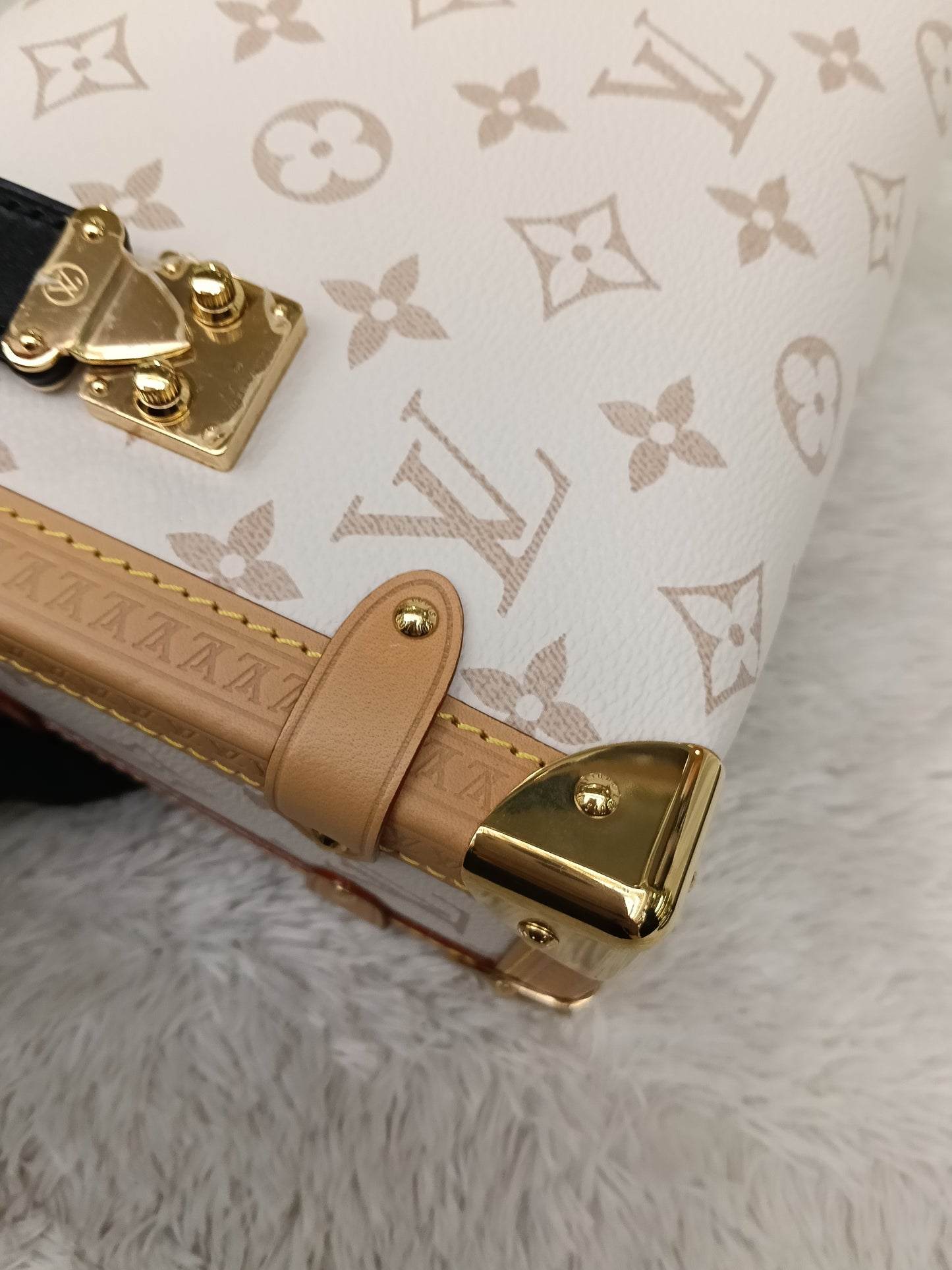 LV Side Trunk MM Monogram Dune (CHIP)