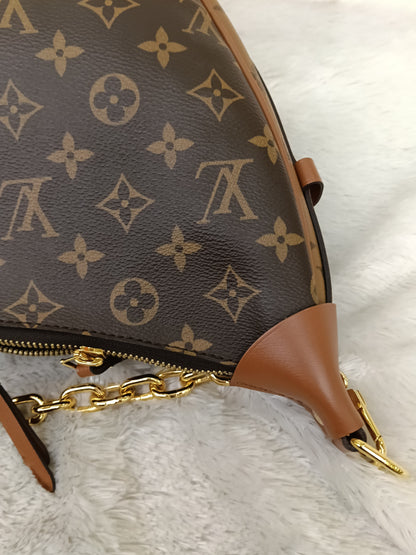 LV Loop Hobo Monogram Reverse (CHIP)