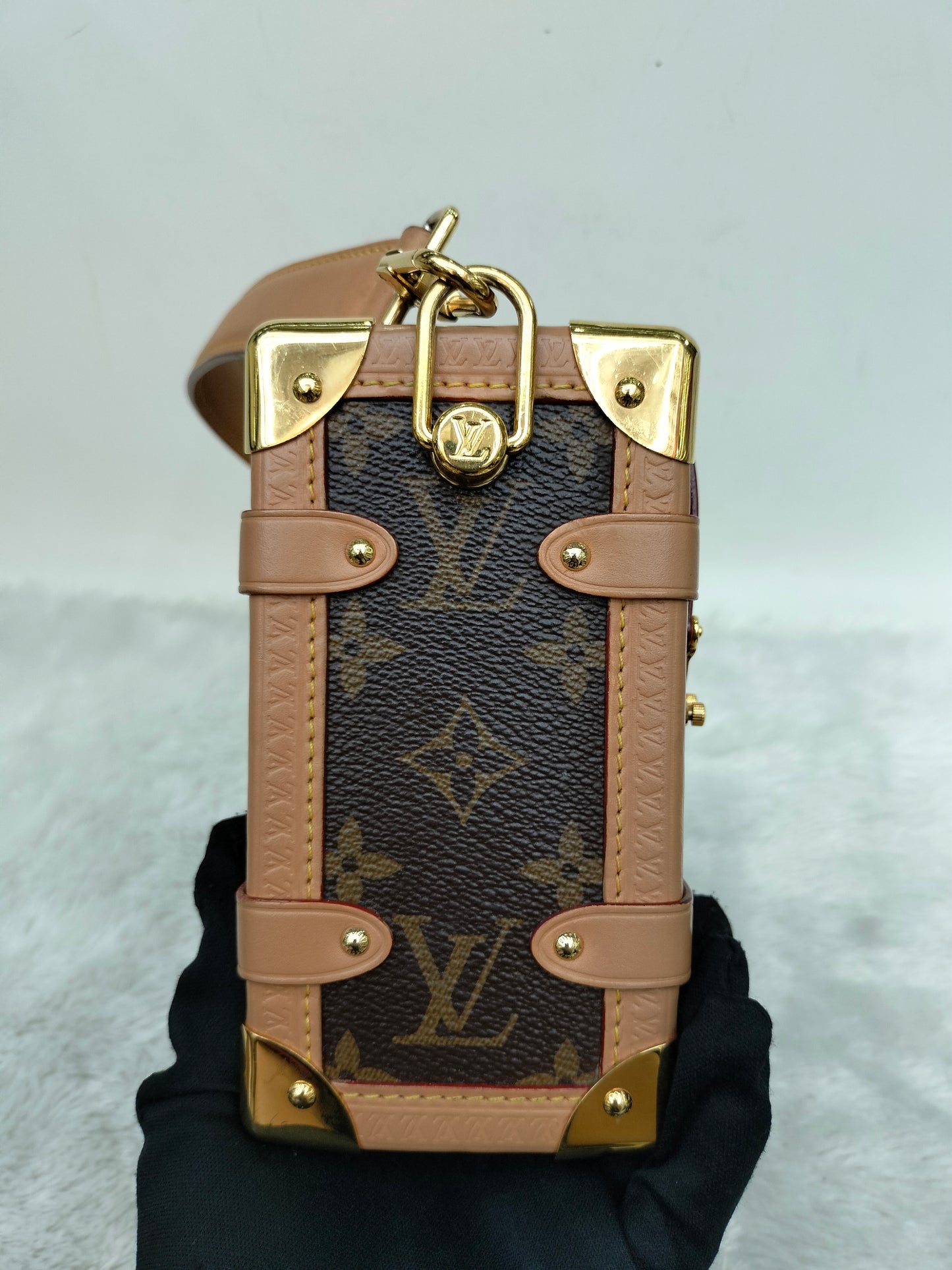 LV Side Trunk MM Monogram (CHIP)