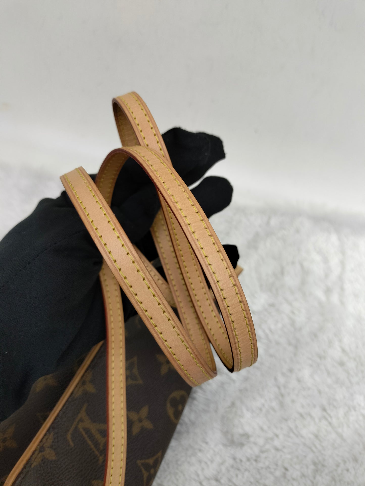 LV Twin PM Pochette Monogram