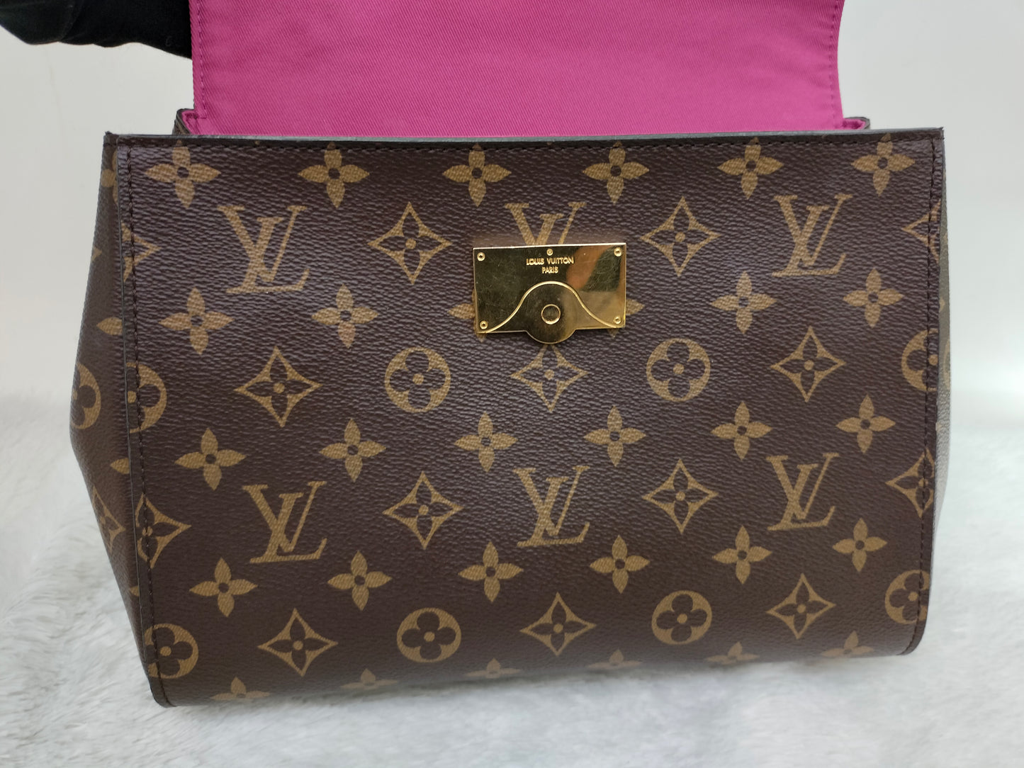LV Clunny BB Monogram Bordeaux Fuchsia (CHIP)