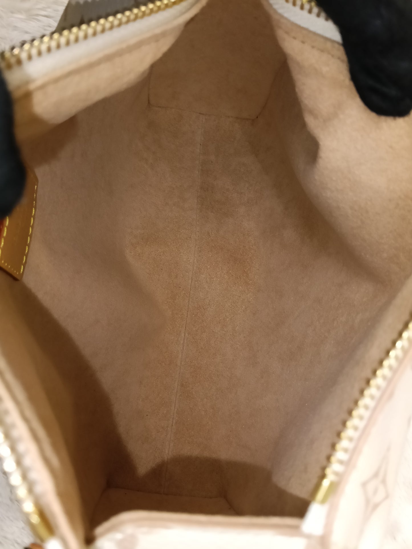 LV Side Trunk MM Monogram Dune (CHIP)
