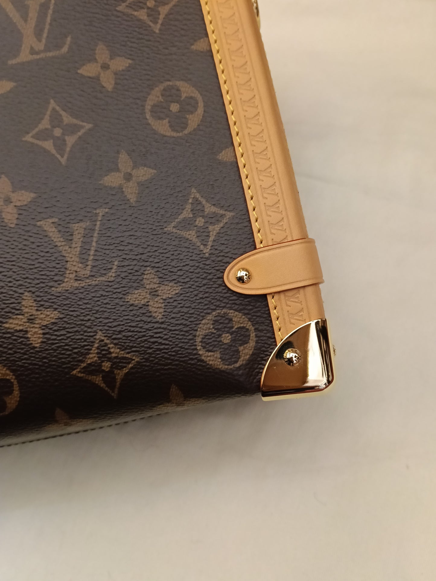 LV Side Trunk GM Monogram 2025 (CHIP)