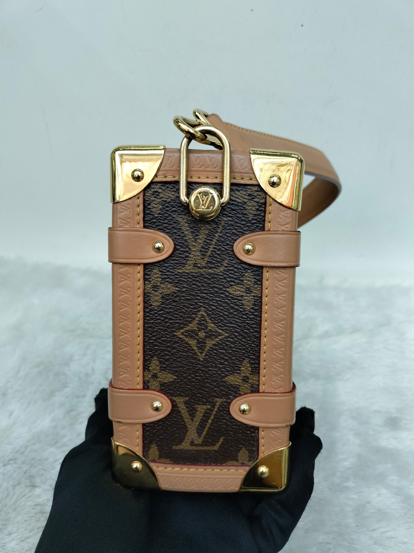 LV Side Trunk MM Monogram (CHIP)