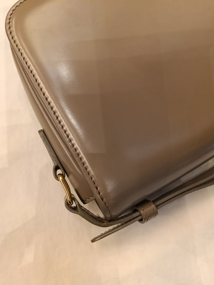 Celine Triomphe Teen Shiny Calfskin Pebble GHW 2022