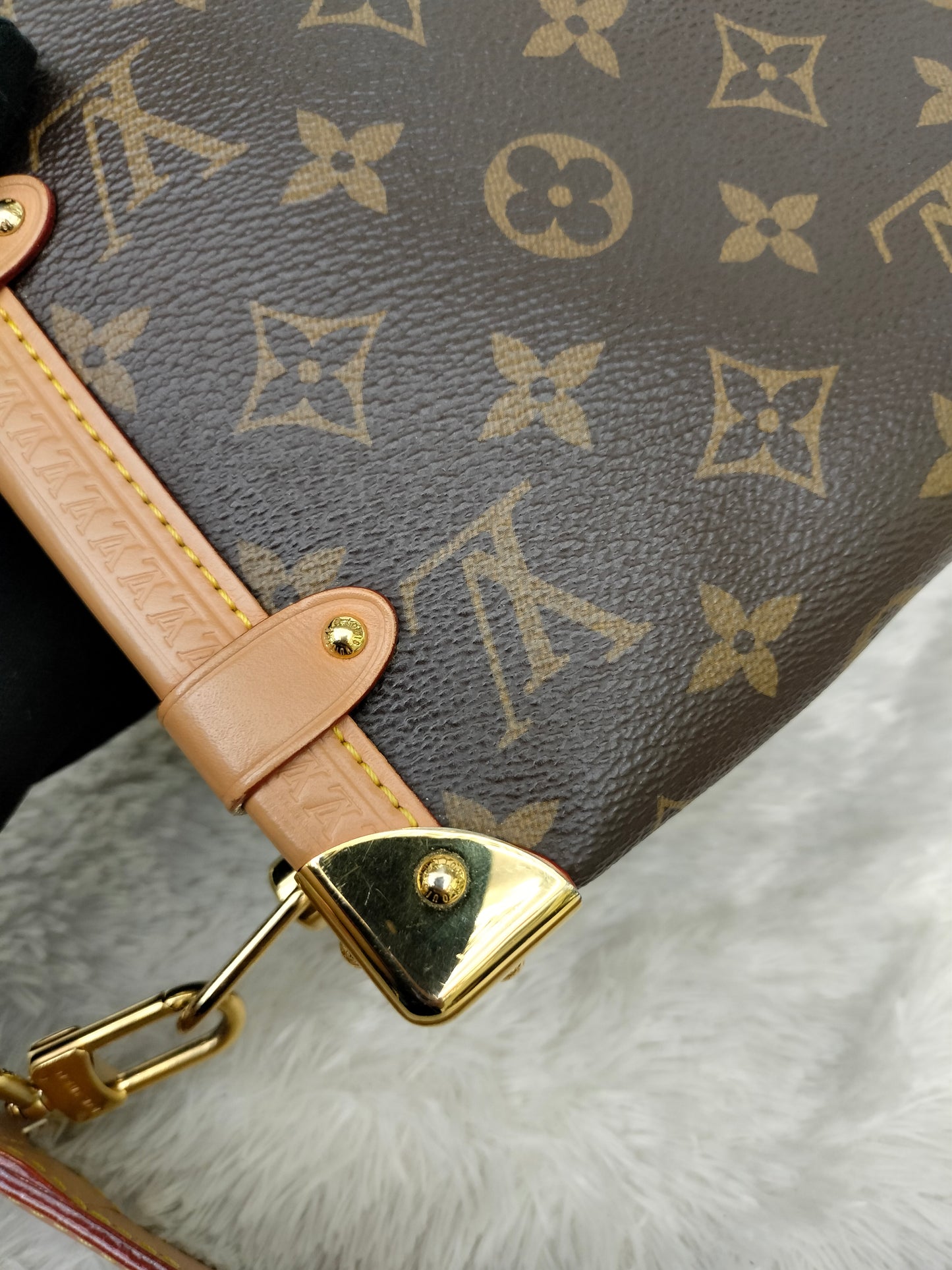 LV Side Trunk MM Monogram (CHIP)