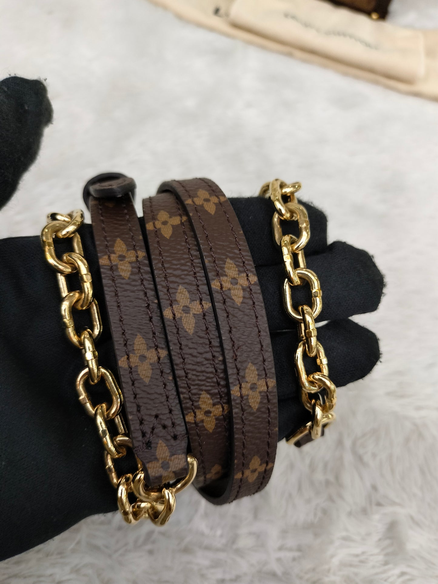 LV Pochette Trunk Vertical Monogram Reverse 2019