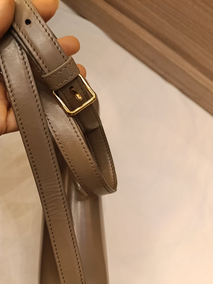 Celine Triomphe Teen Shiny Calfskin Pebble GHW 2022