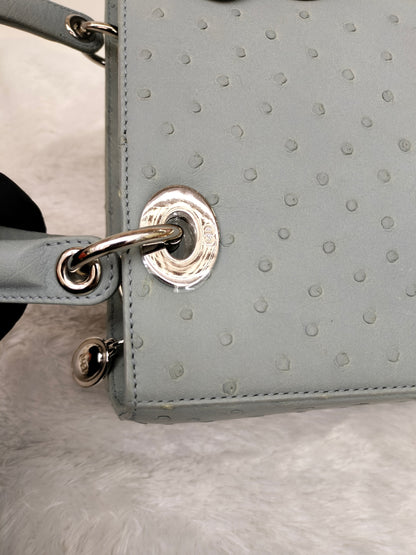 Lady Dior Medium Ostrich Baby Blue SHW 2017