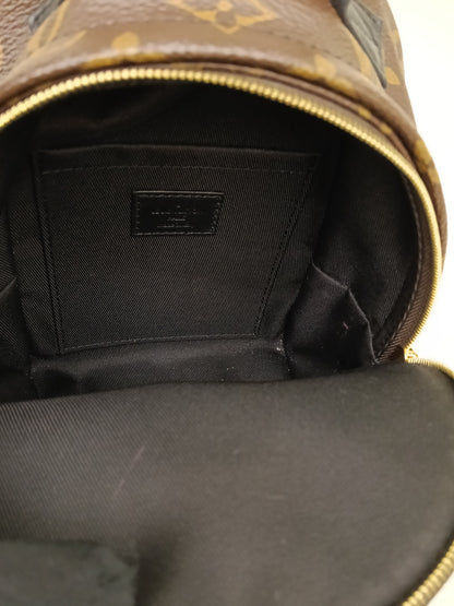LV Palm Springs Mini NV Monogram  (CHIP)