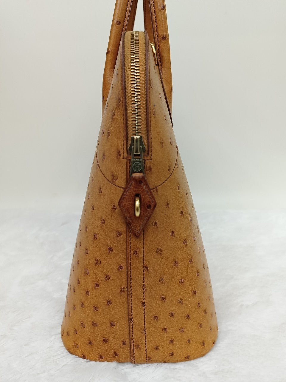 Bolide35 Ostrich Chestnut GHW #A square