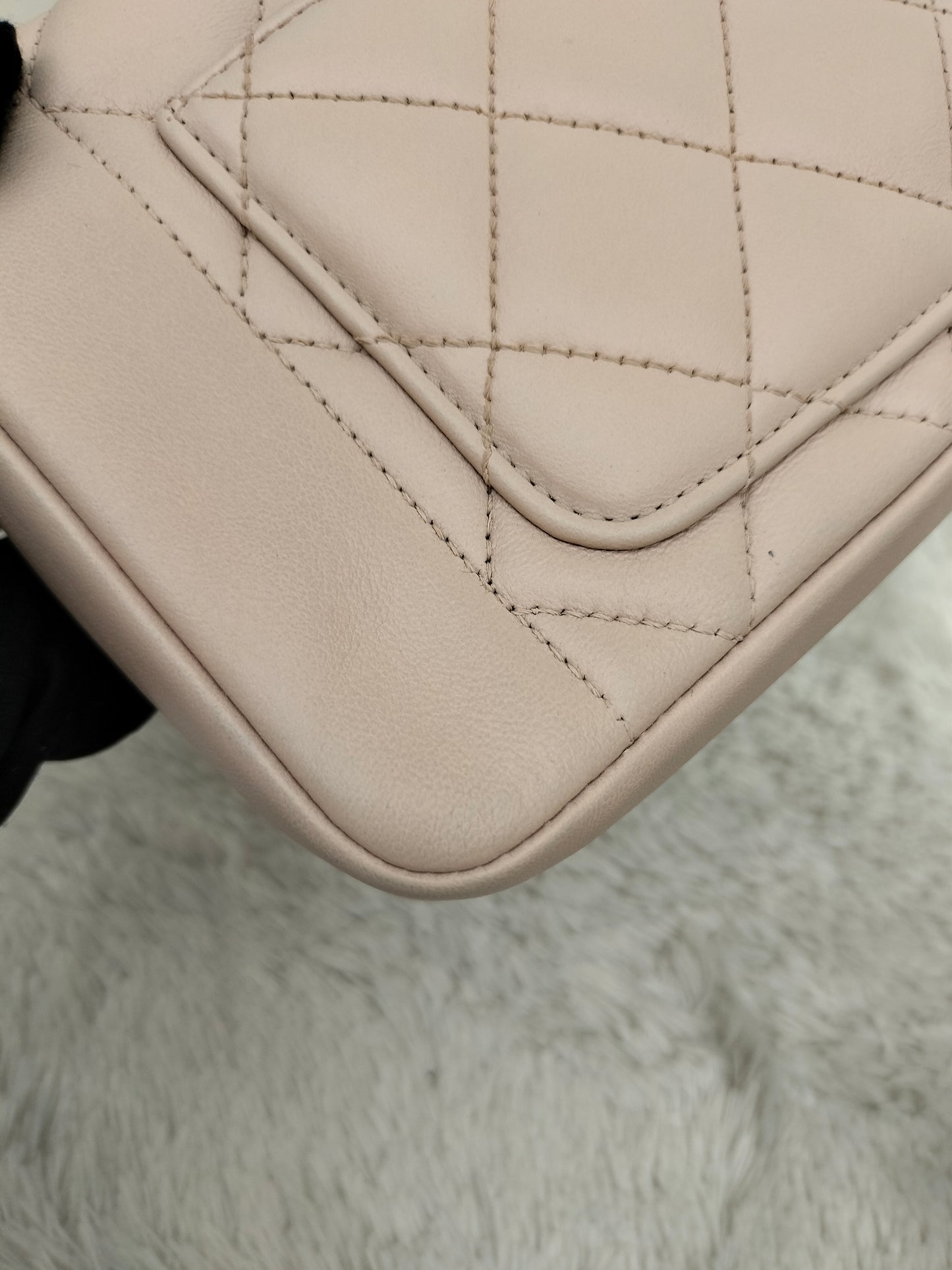 Chanel Diana Flap Small Lamb Light Beige GHW #20