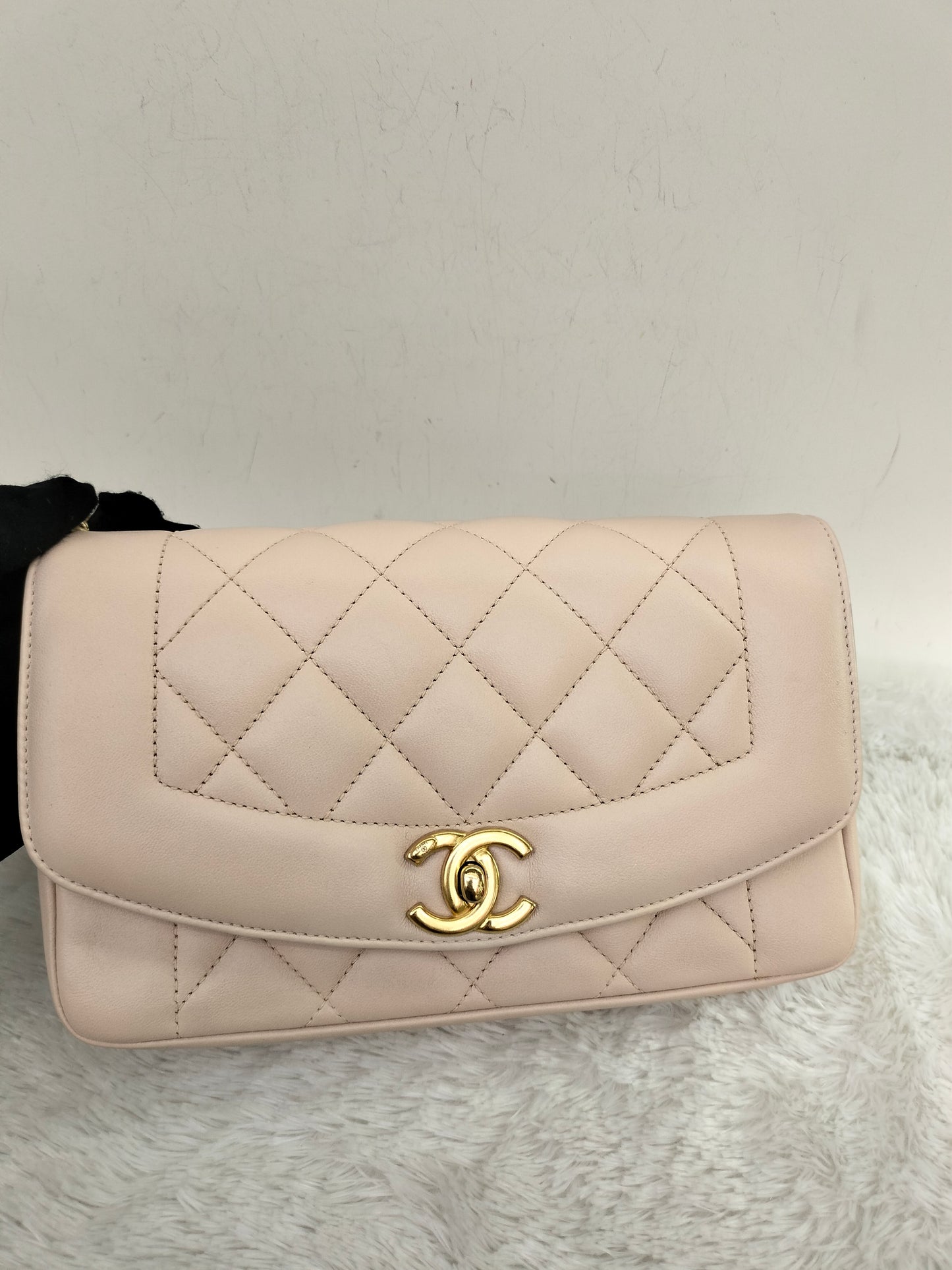 Chanel Diana Flap Small Lamb Light Beige GHW #20