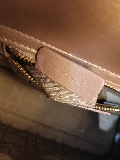 Lady Dior Mini Iridescent Lotus GHW 2017