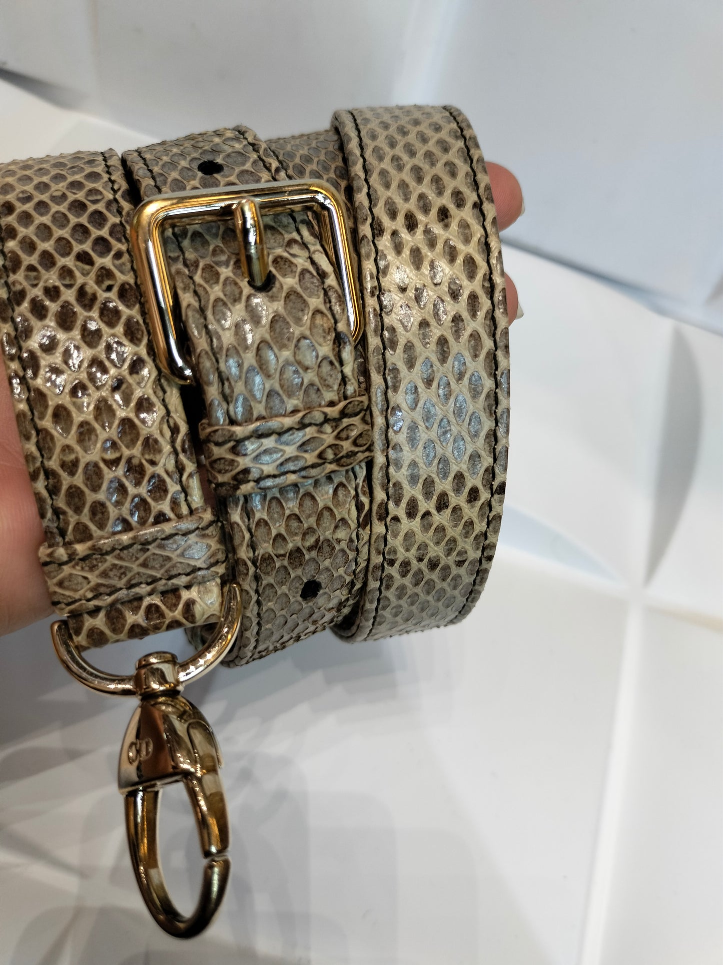 Lady Dior Small Python GHW 2018