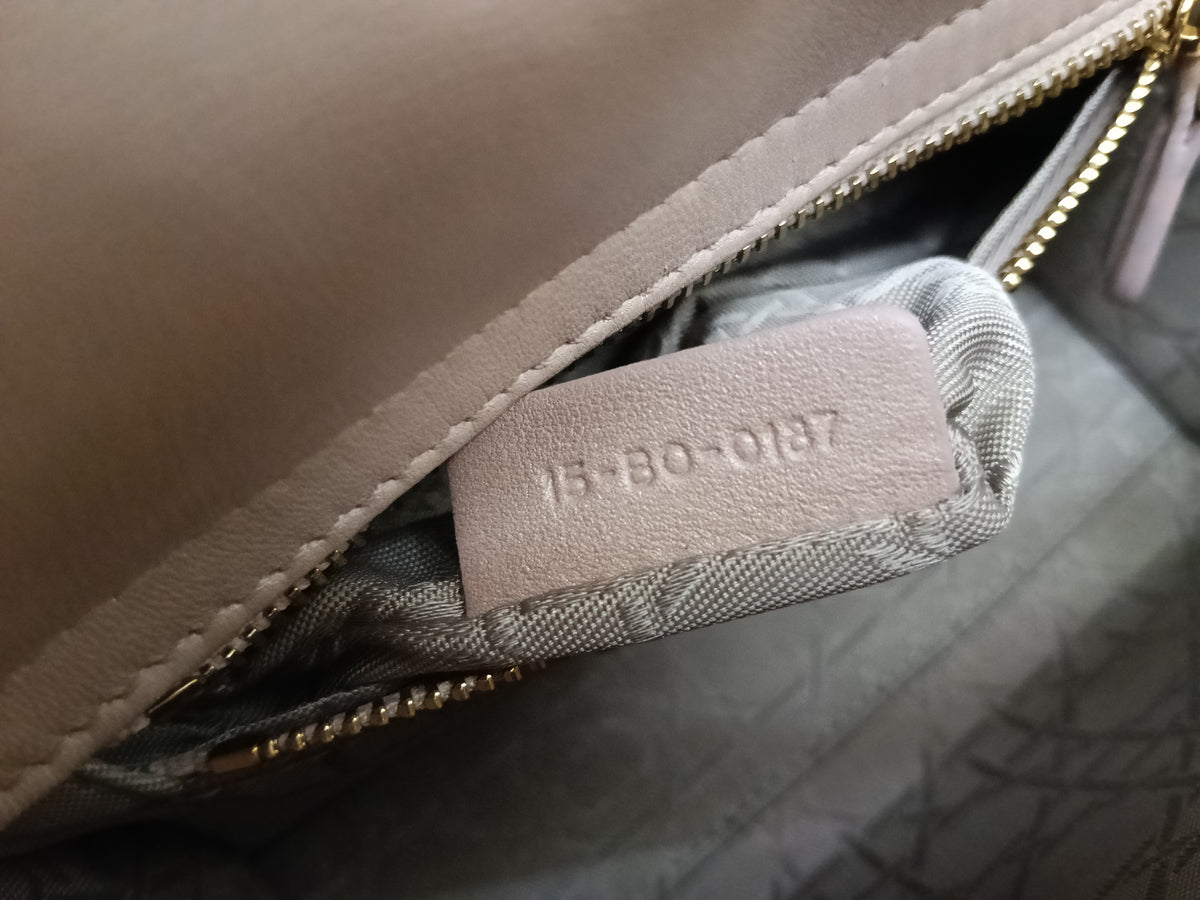 Lady Dior Mini Iridescent Lotus GHW 2018