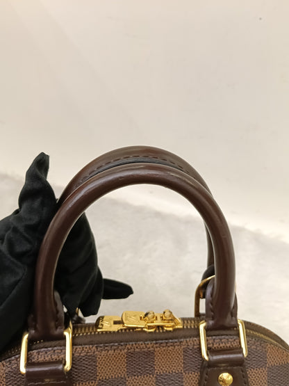 LV Alma BB Damier (CHIP)