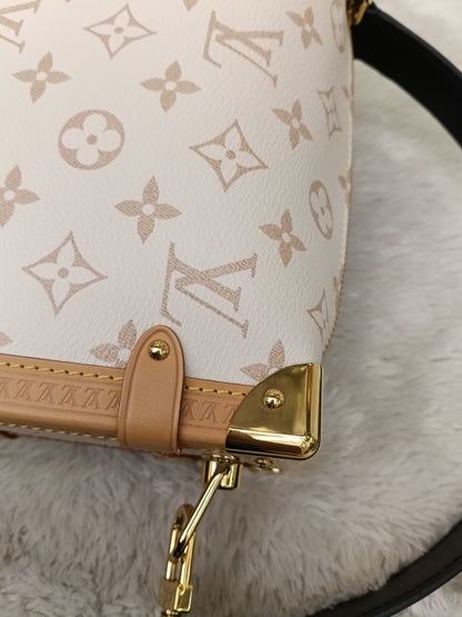 LV Side Trunk MM Monogram Dune (CHIP)