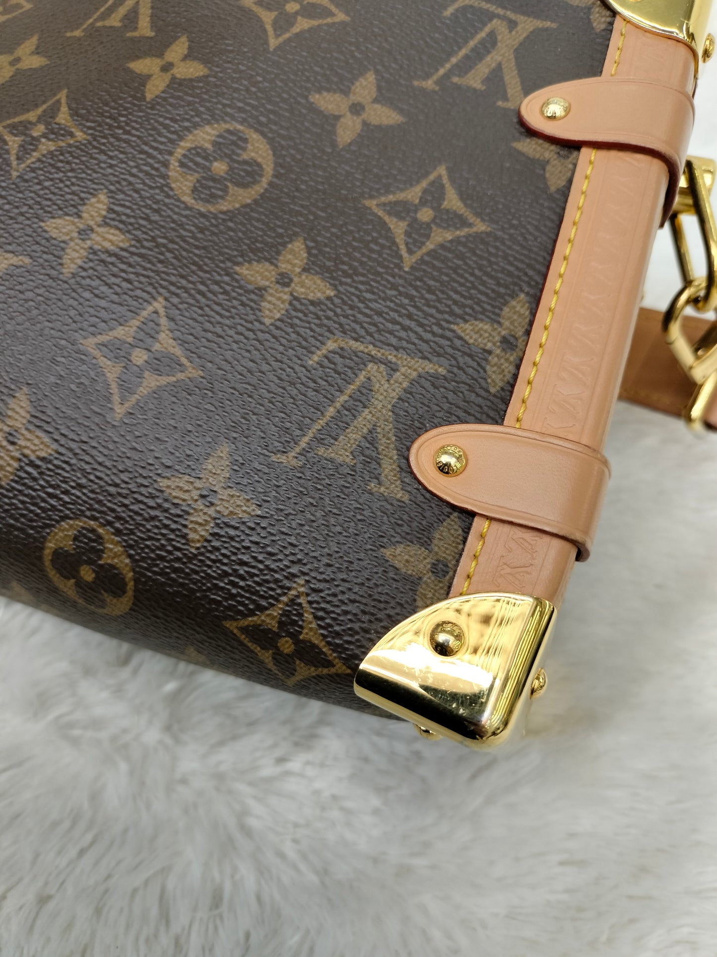 LV Side Trunk MM Monogram (CHIP)