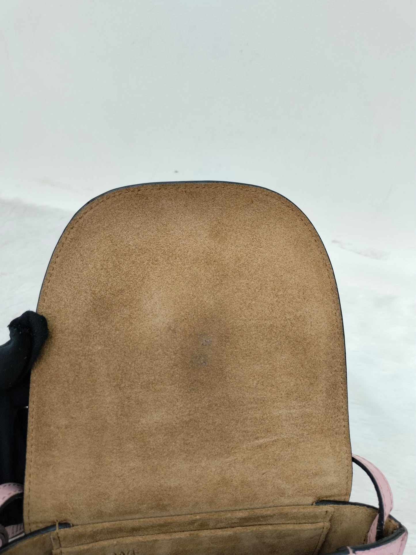 Loewe Gate Mini Grained Pink GHW 2019