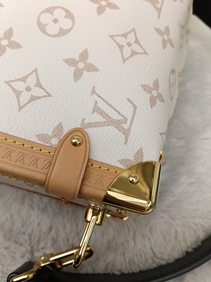 LV Side Trunk MM Monogram Dune (CHIP)