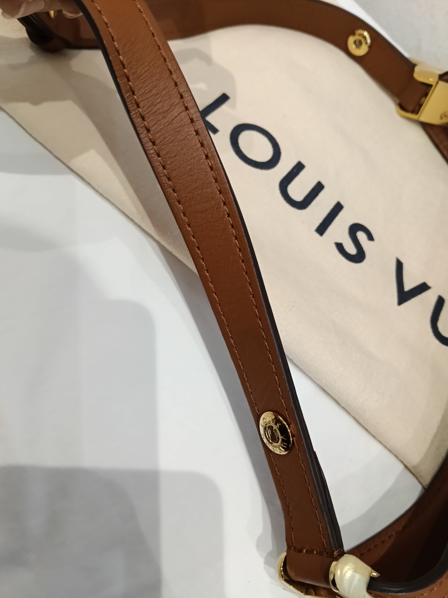 LV Hobo Dauphine PM Monogram Reverse 2020