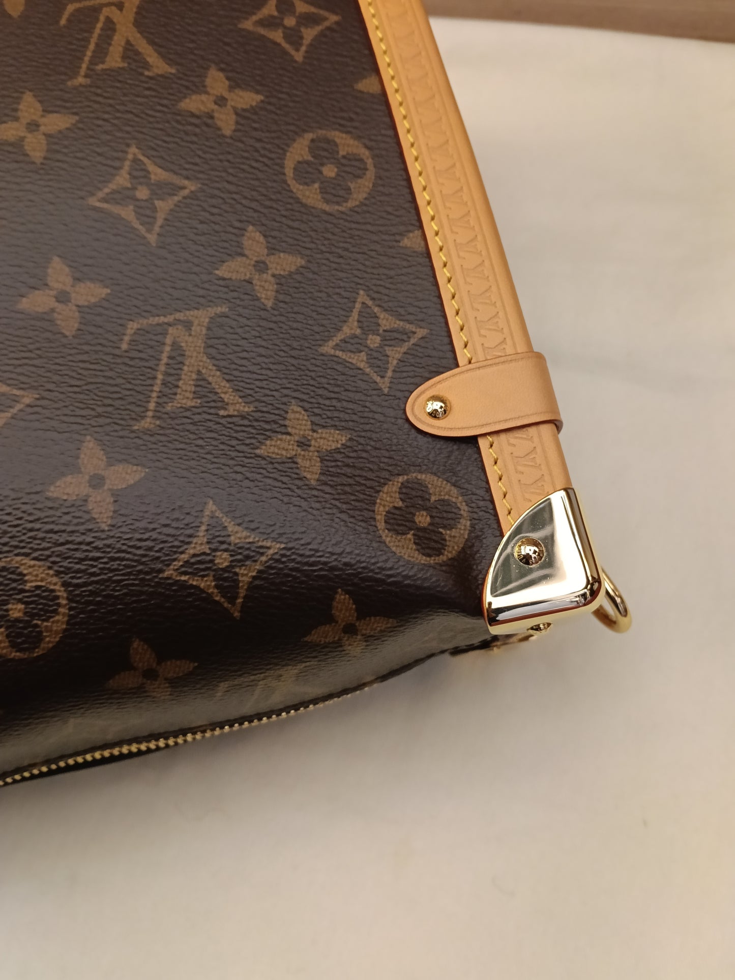 LV Side Trunk GM Monogram 2025 (CHIP)
