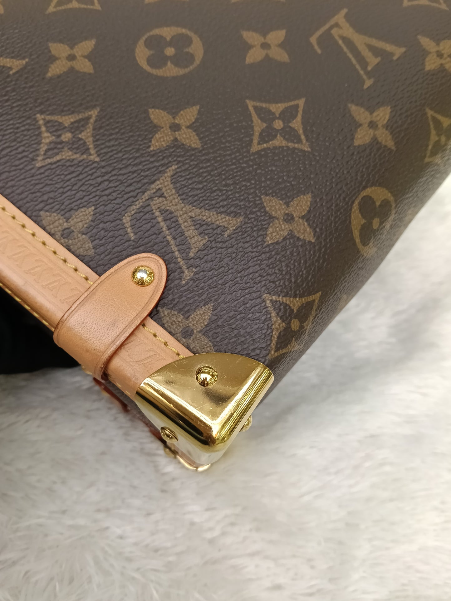 LV Side Trunk MM Monogram (CHIP)