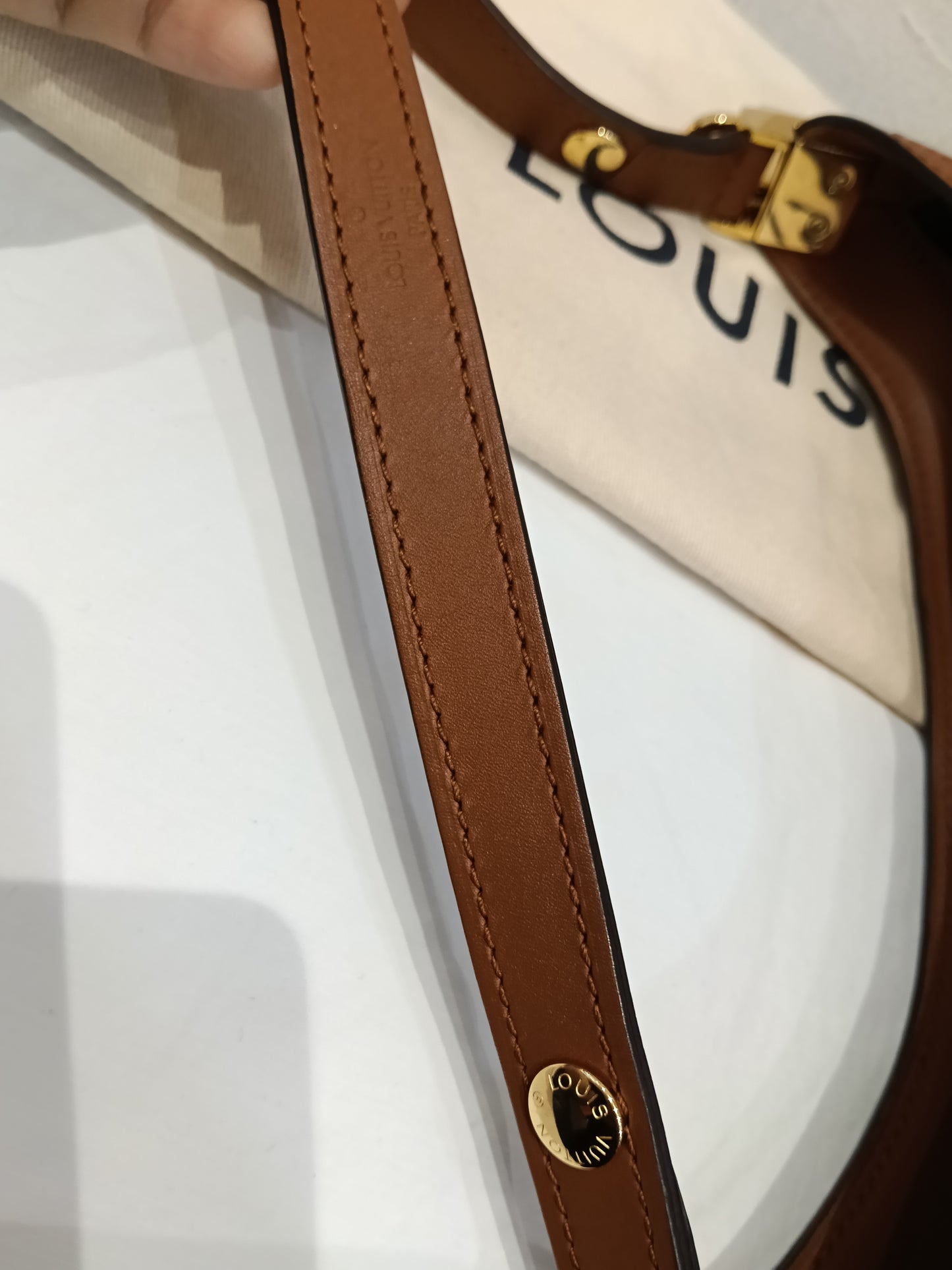 LV Hobo Dauphine PM Monogram Reverse 2020