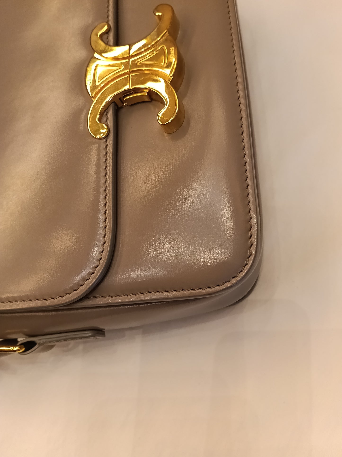 Celine Triomphe Teen Shiny Calfskin Pebble GHW 2022