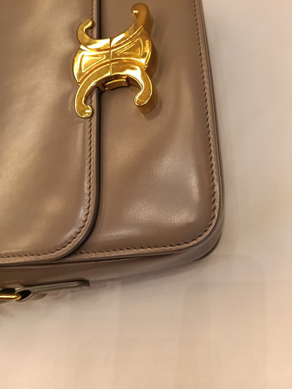 Celine Triomphe Teen Shiny Calfskin Pebble GHW 2022