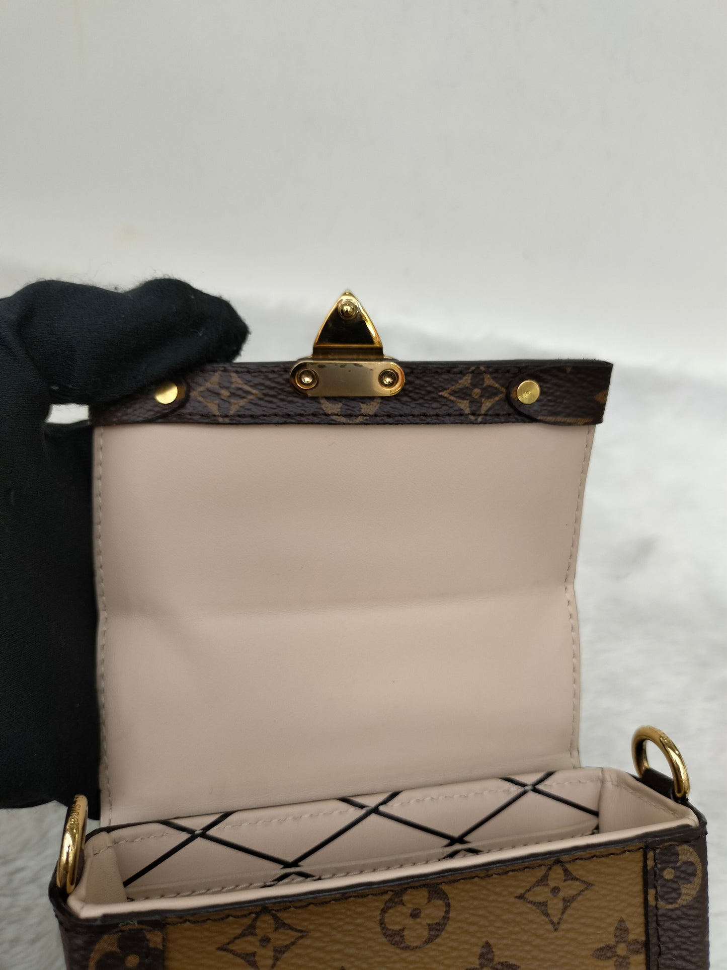 LV Pochette Trunk Vertical Monogram Reverse 2019