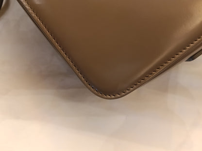 Celine Triomphe Teen Shiny Calfskin Pebble GHW 2022