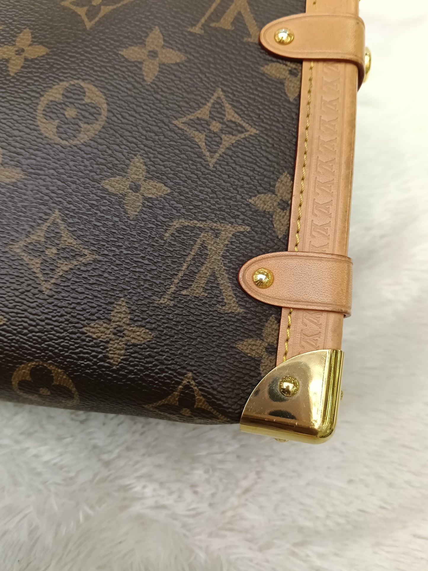 LV Side Trunk MM Monogram (CHIP)
