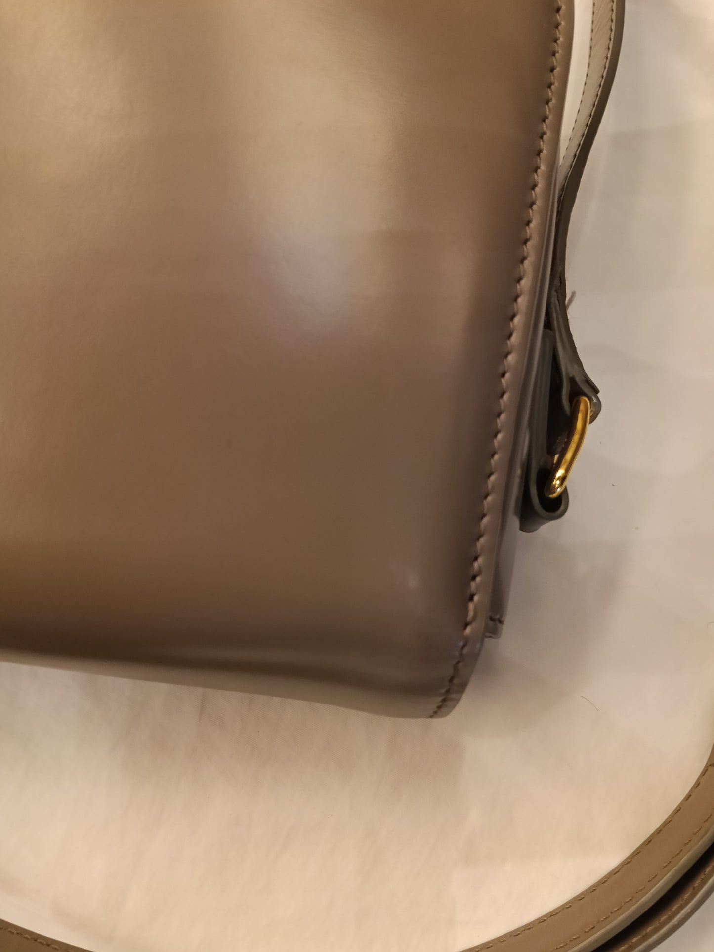 Celine Triomphe Teen Shiny Calfskin Pebble GHW 2022
