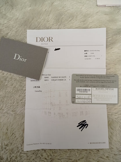 Dior Saddle Medium Grained Black GHW 2021