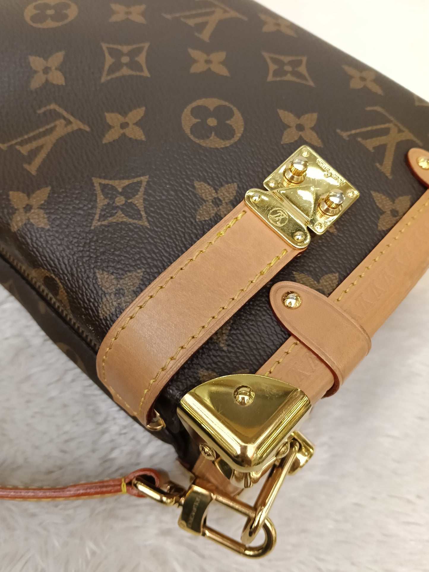 LV Side Trunk MM Monogram (CHIP)