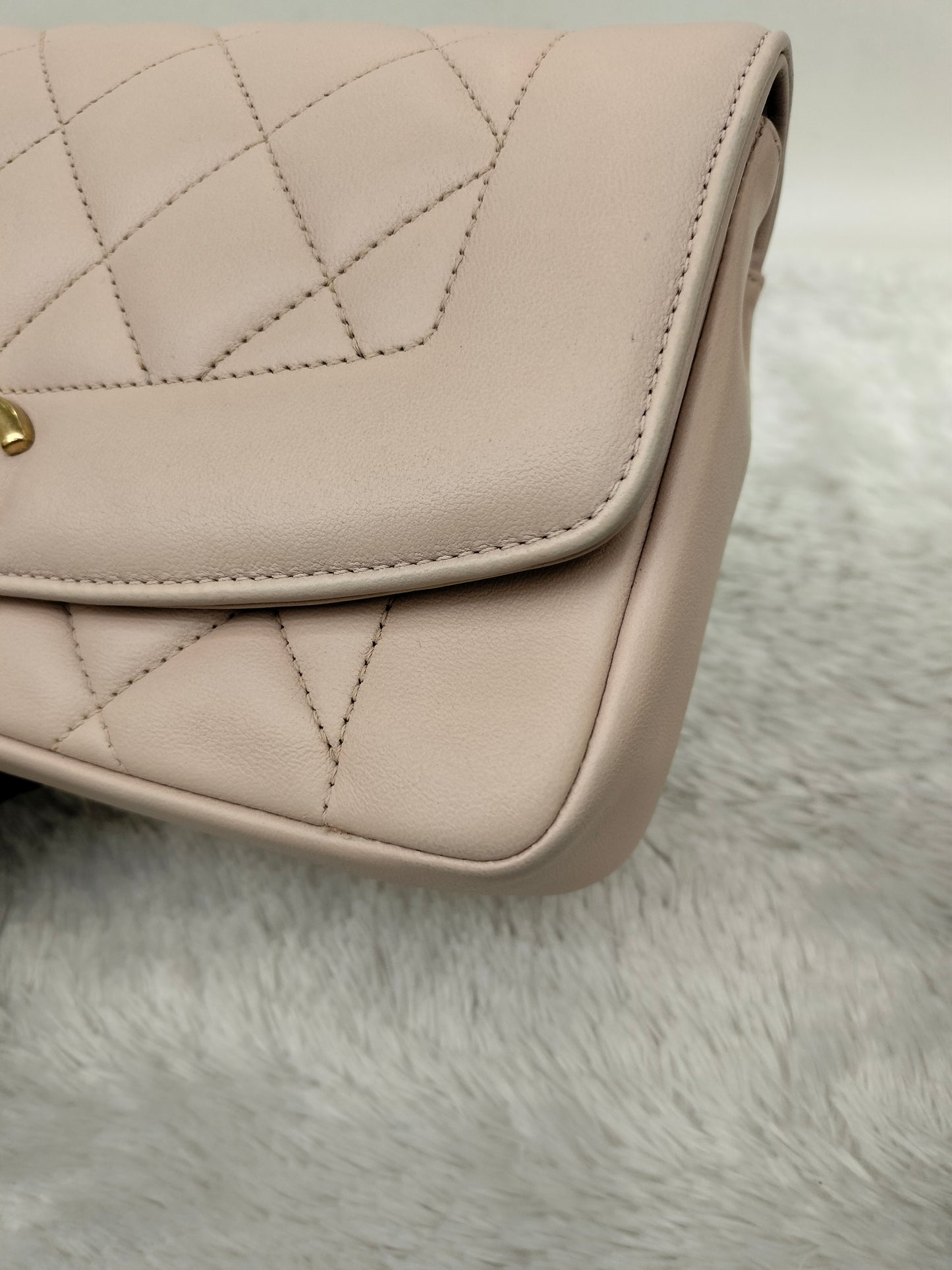 Chanel Diana Flap Small Lamb Light Beige GHW #20