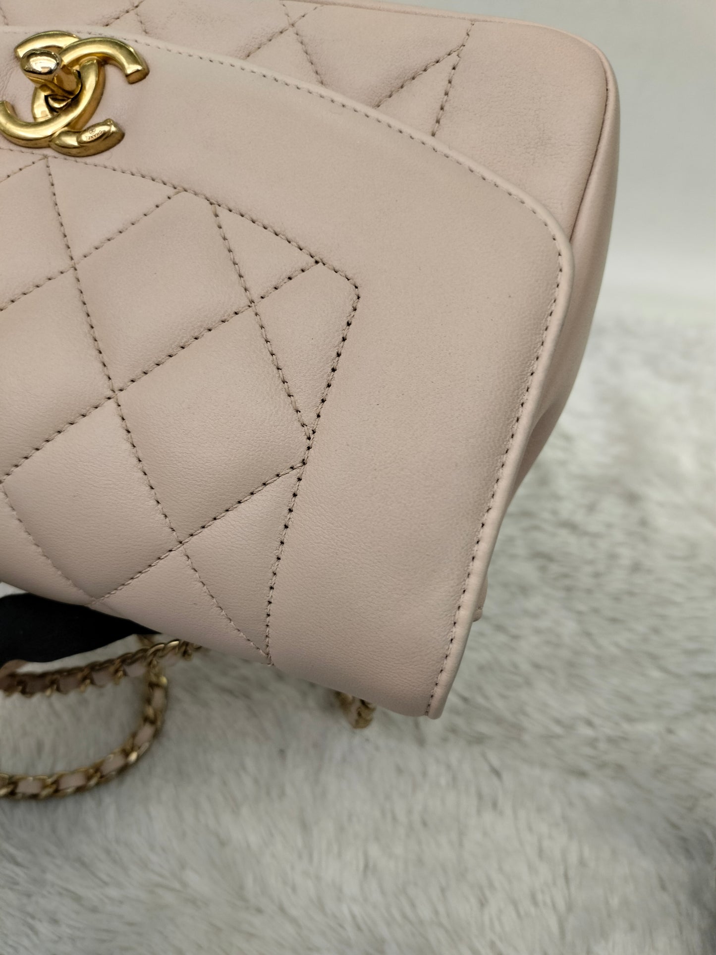 Chanel Diana Flap Small Lamb Light Beige GHW #20