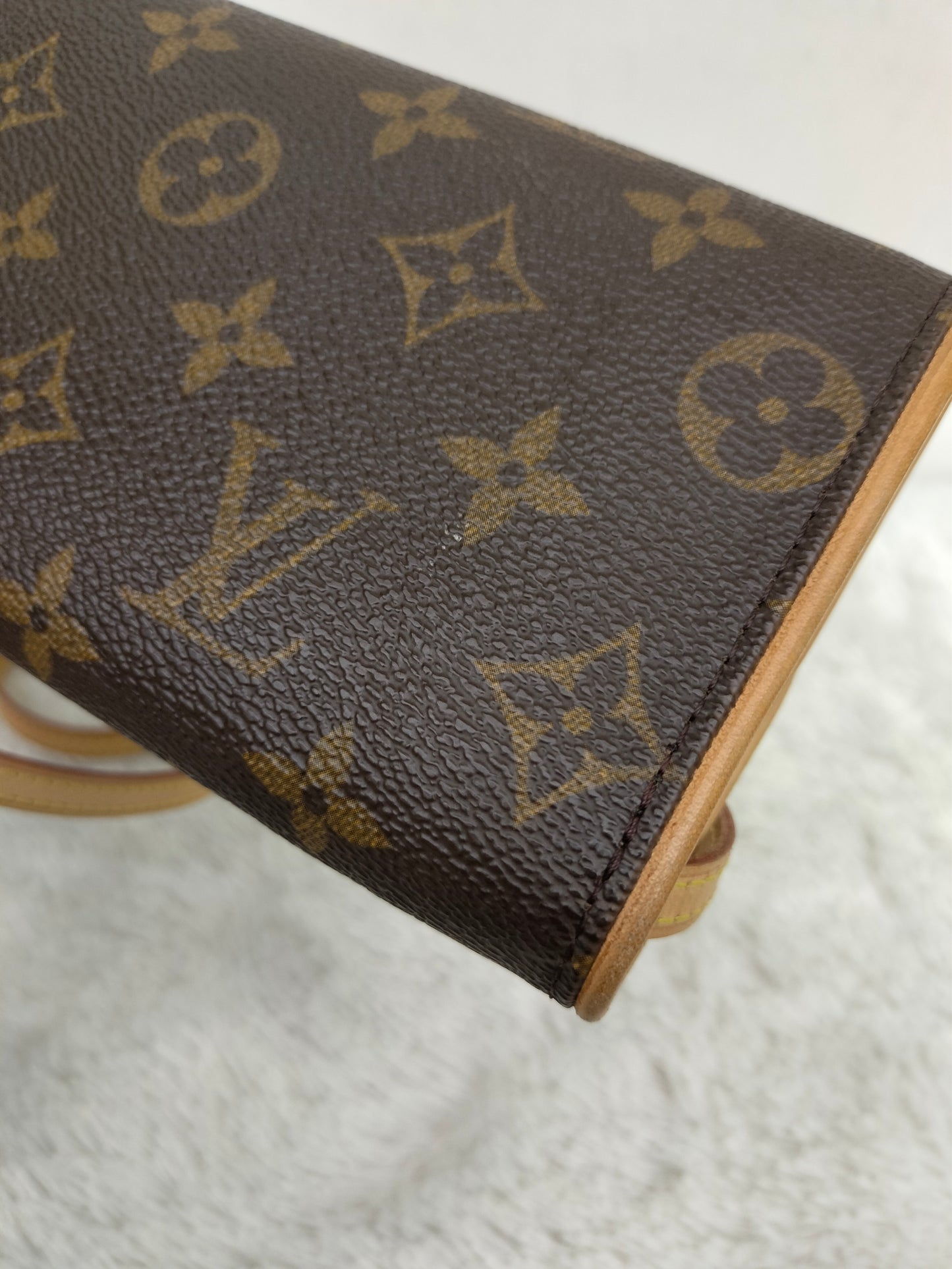 LV Twin PM Pochette Monogram