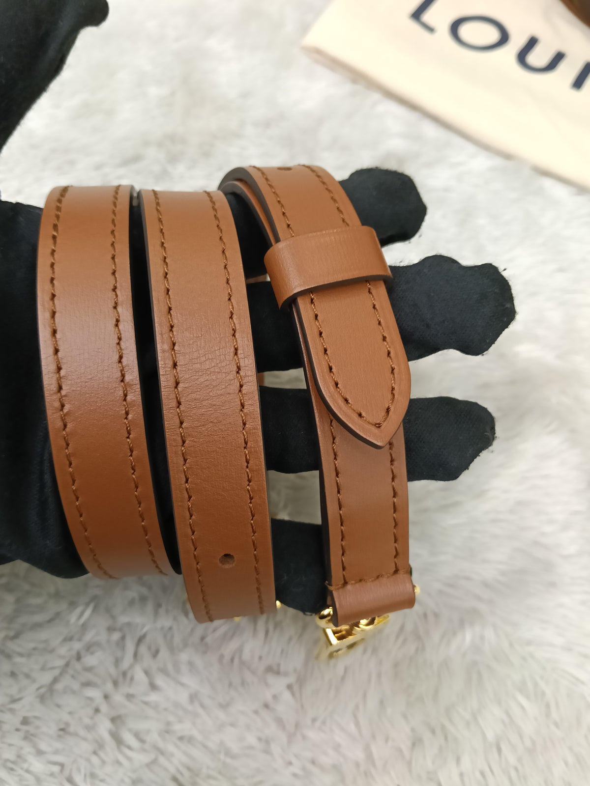 LV Loop Hobo Monogram Reverse (CHIP)