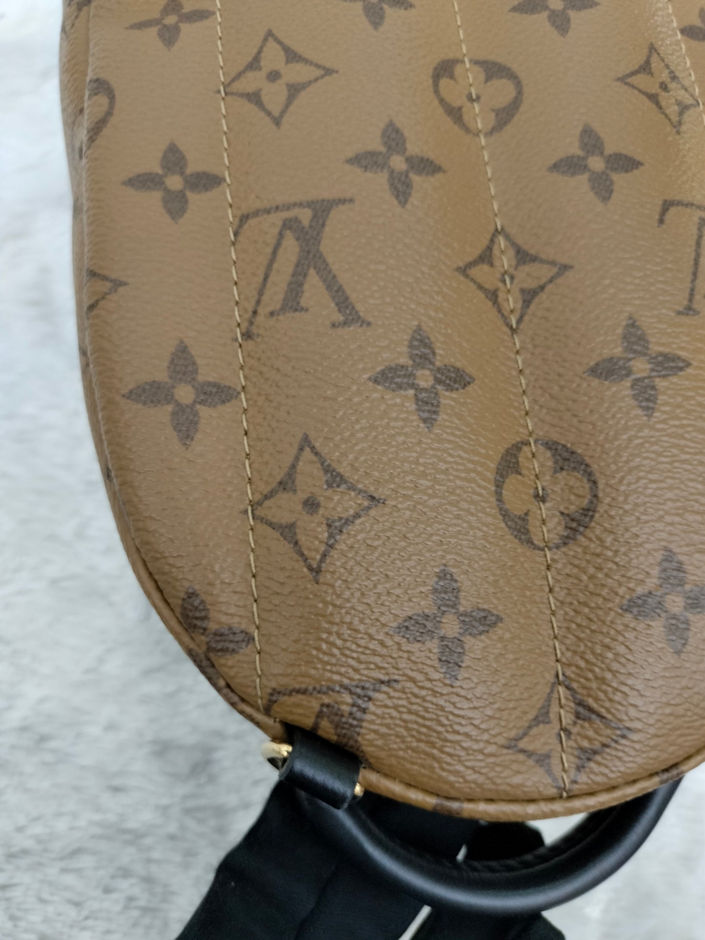 LV Palm Springs Mini Monogram Reverse 2019