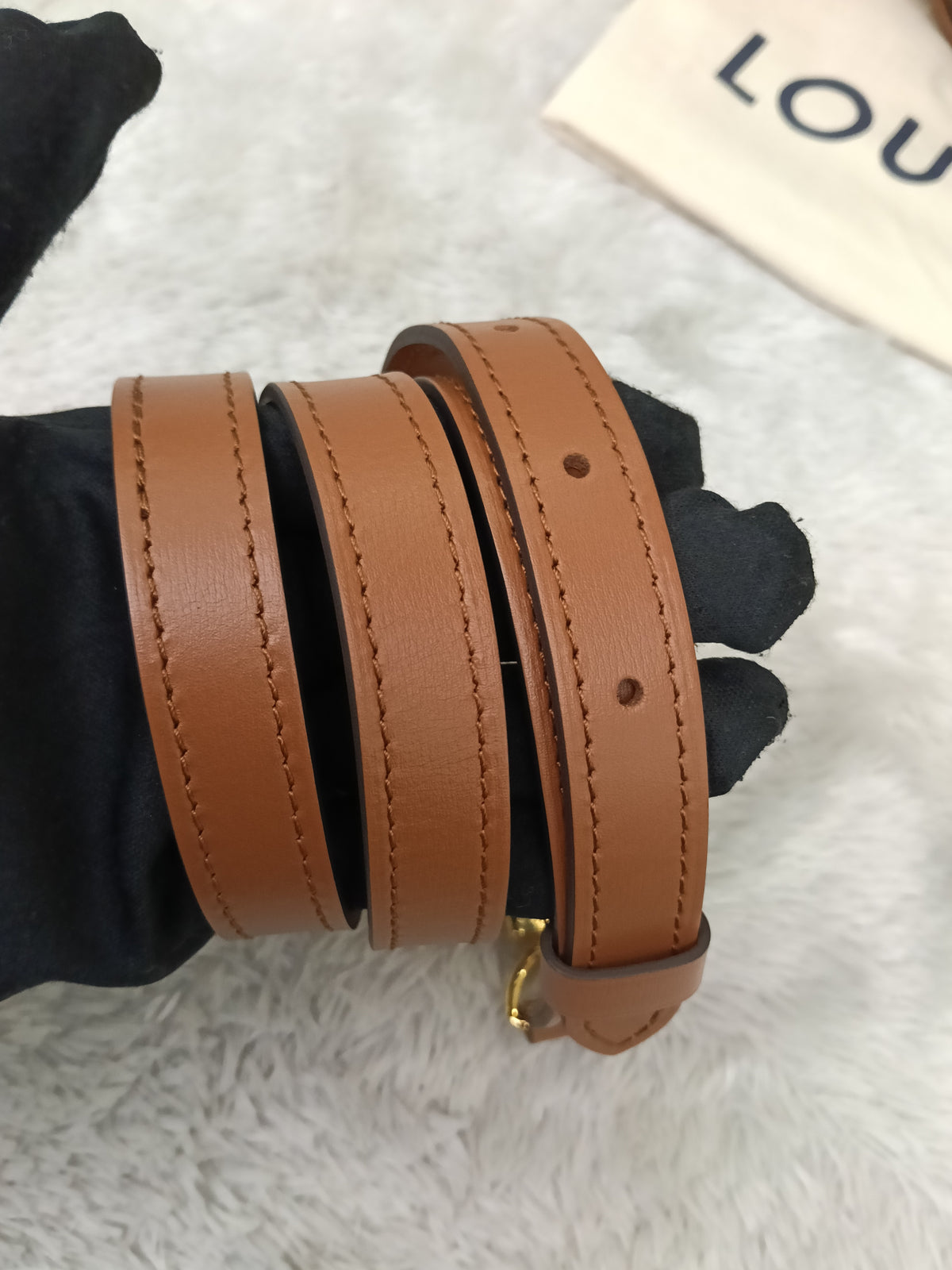 LV Loop Hobo Monogram Reverse (CHIP)