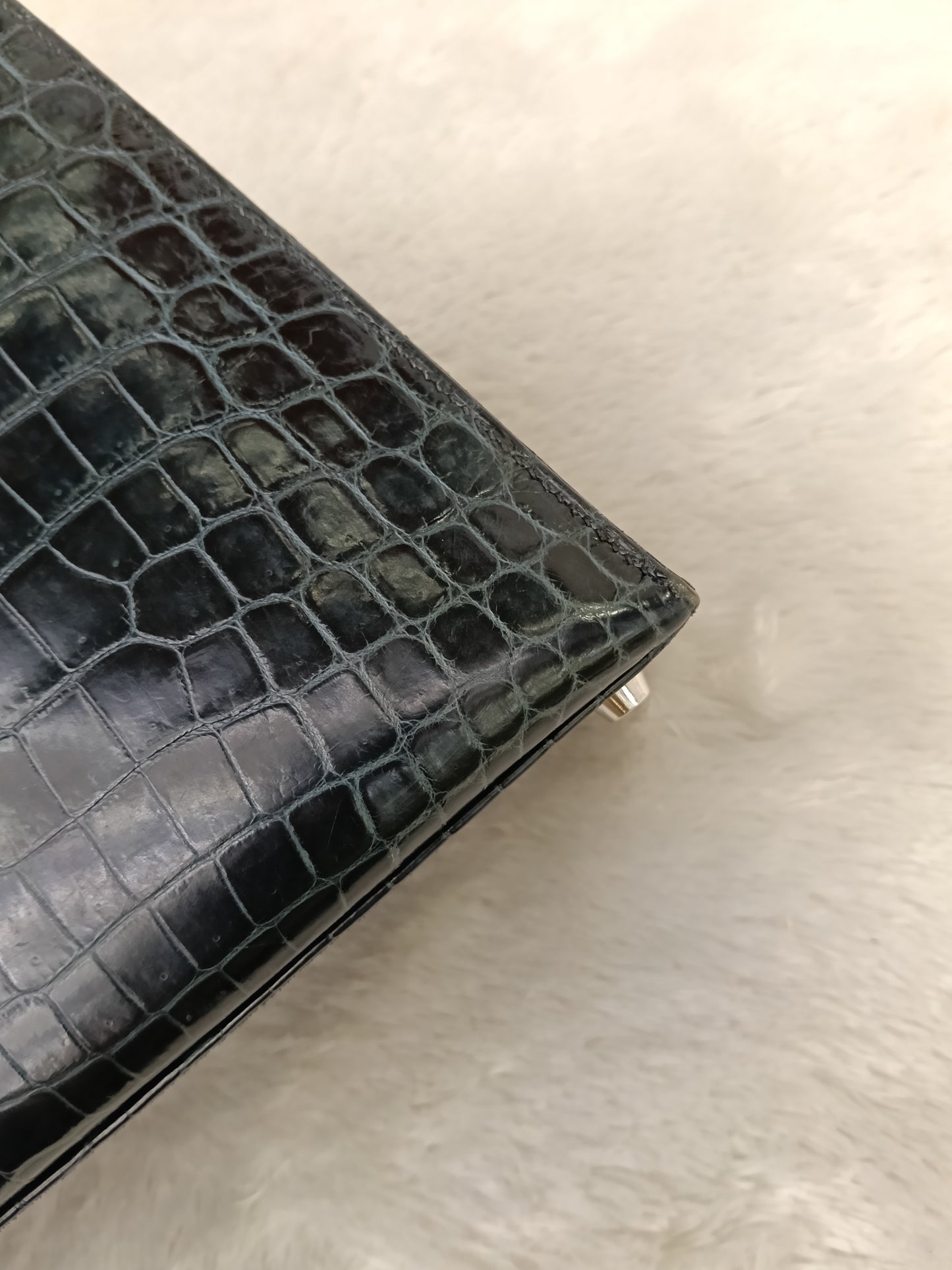 K25 Croco Niloticus Vert Rousseu PHW #B